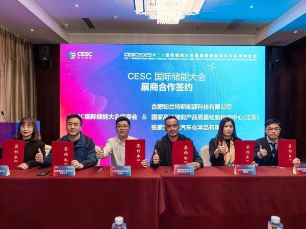 1737031169401 1737031169401